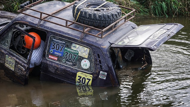 才能真正为 才能真正为