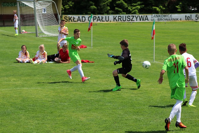 元文化国家 元文化国家