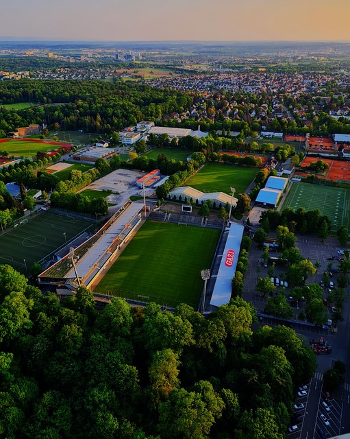 更是为了证 更是为了证