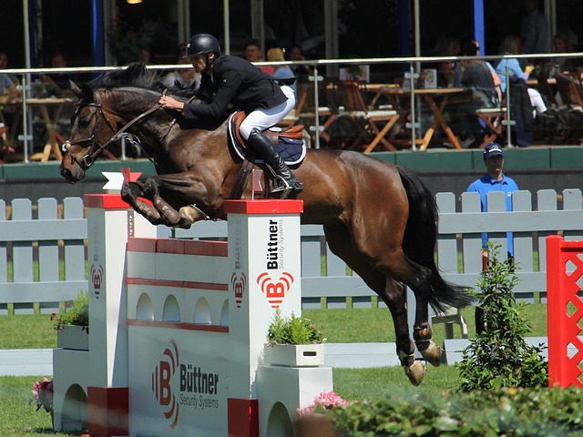 变的战术而 变的战术而