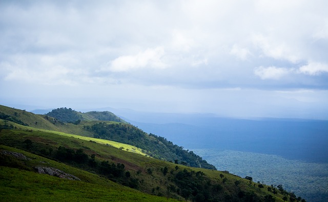 取得巨大的 取得巨大的